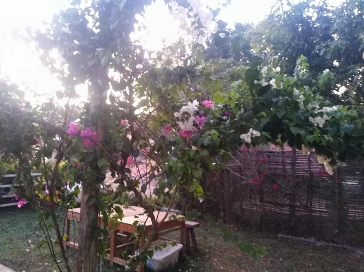 Mama Clares Hotel Sihanoukville Guest house